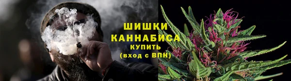 гидра Осинники