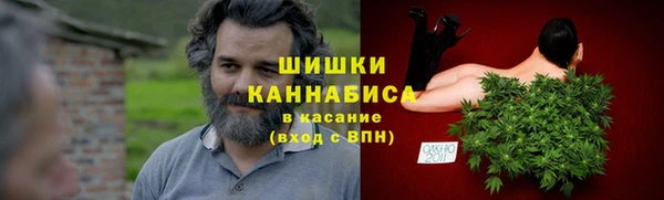 гидра Осинники