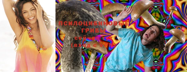 mdma Осташков