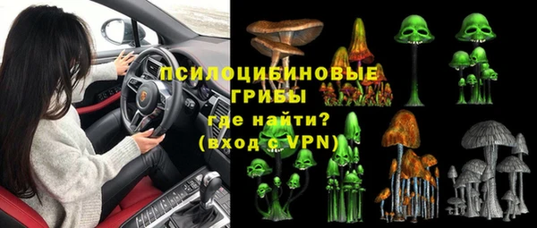 гидра Осинники